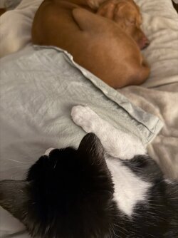 IMG_6352.jpeg