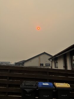IMG_6438.jpeg