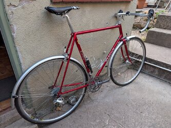 PXL_20260725_180437541.jpg