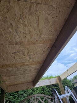 20260728_154607.jpg