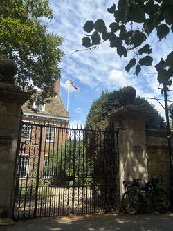 IMG_7341.jpeg