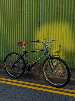 IMG_5255.jpeg