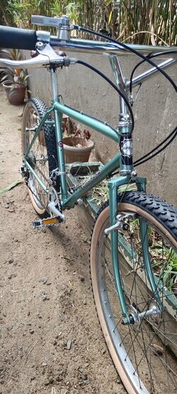 IMG_5251.jpeg