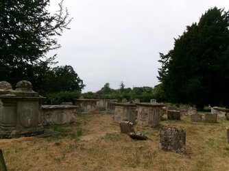 260724-5619 Elmore St John the Baptist HE1340600-table tombs-S side group.JPG