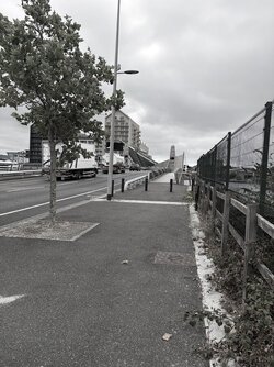 IMG_0706.jpeg