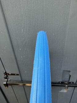 IMG_4921.jpeg