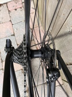IMG_3125.jpeg IMG_3125.jpeg