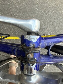 IMG_9153.jpeg