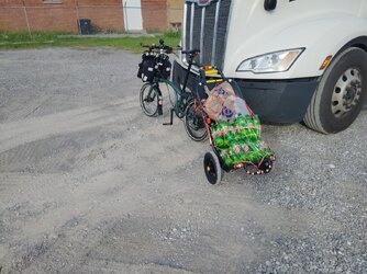 IMG_20260822_181445.jpg