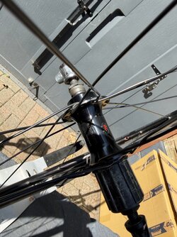 IMG_5284.jpeg