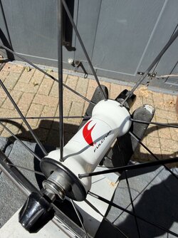 IMG_5288.jpeg