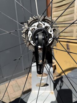 IMG_5293.jpeg