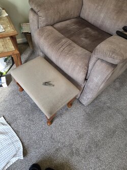 20260824_094212.jpg