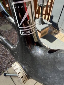 IMG_5295.jpeg