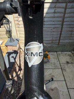 IMG_5296.jpeg