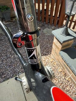 IMG_5305.jpeg