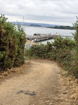IMG_0899.jpeg