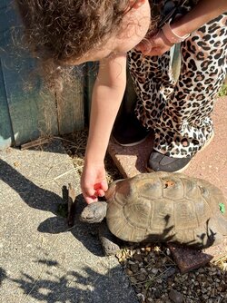 IMG_0965.jpeg