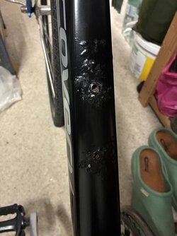 IMG_8117.jpeg