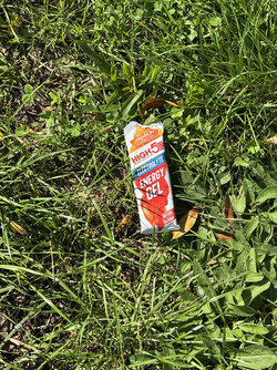 IMG_7485.jpeg IMG_7485.jpeg