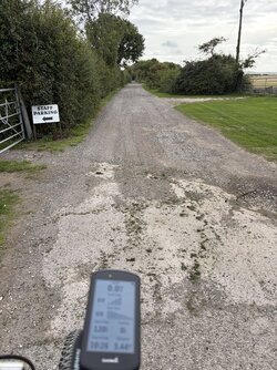 IMG_4922.jpeg