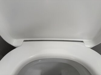 IMG_7346.jpeg