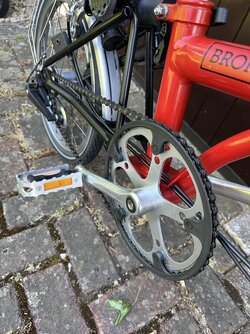 IMG_2679.jpeg
