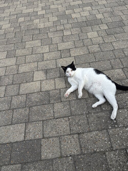 IMG_7533.jpeg IMG_7533.jpeg