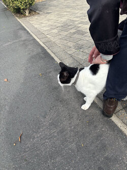 IMG_7532.jpeg IMG_7532.jpeg