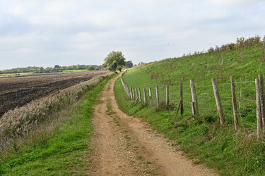 DSC_2681.JPG DSC_2681.JPG