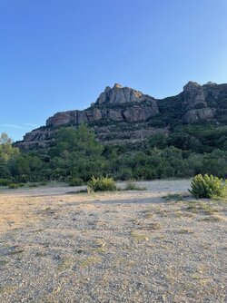 IMG_8022.jpeg