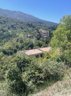 IMG_8012.jpeg