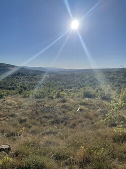 IMG_7990.jpeg
