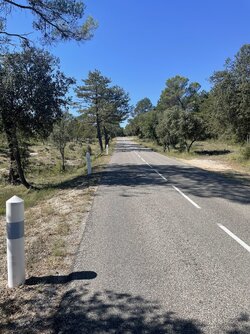 IMG_7994.jpeg