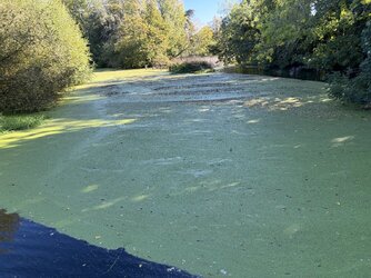 IMG_1289.jpeg