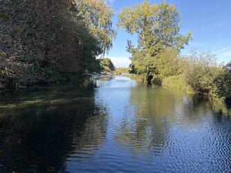 IMG_1288.jpeg