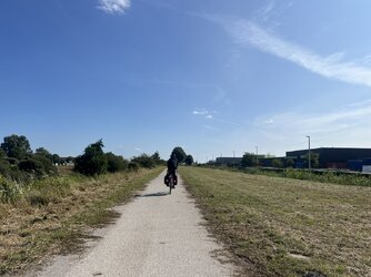 IMG_7184.jpeg