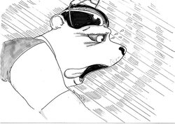 bear-speed-hills_Page_1.jpg