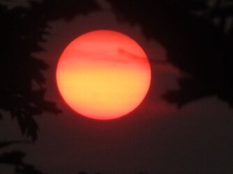 The Sun Set.jpg
