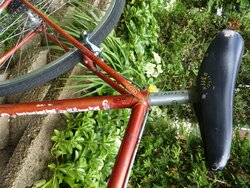 seatpost.JPG seatpost.JPG