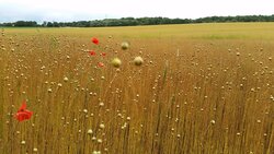 20150714_141157.jpg