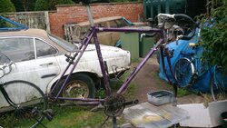 DSC_0122.JPG