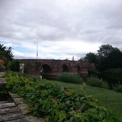 IMG_20150809_110832.jpg