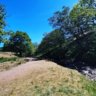 Mtbnovice