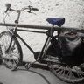 Pashley175