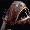 Frankenfish
