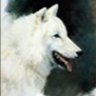 WhiteWolf