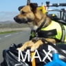 One man and a dog