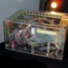 Orac