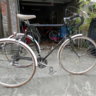 paulus50